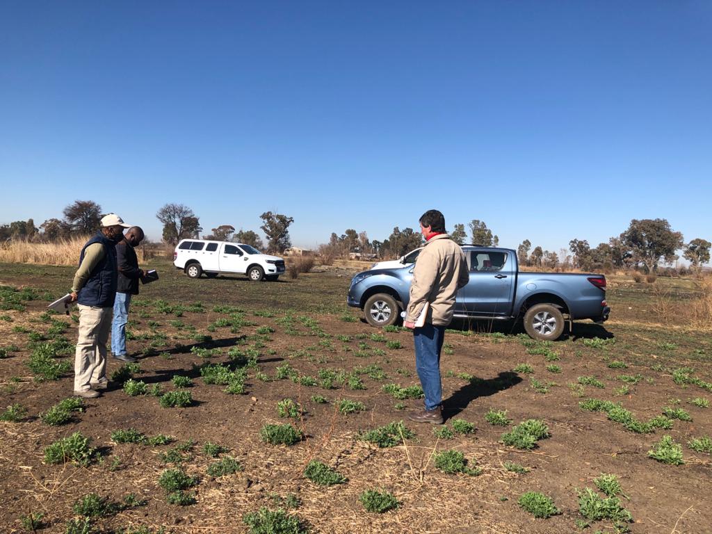 4f540091-c443-4031-95d8-a0869435fd6b