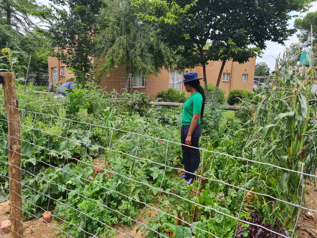 648d97ba-0240-4695-a527-3ea67a7ace47